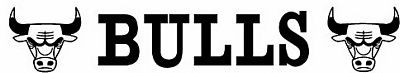 NBA03 Chicago Bulls Sport Banner