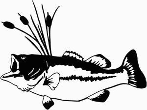 Big Mouth Bass Vinyl Diecut Car Decal