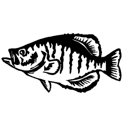 Fish Decal 360e