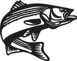 Fishing Decal Sticker 23