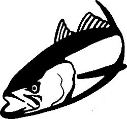 Fishing Decal Sticker 30