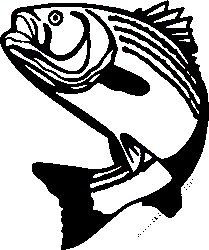 Fishing Decal Sticker 31