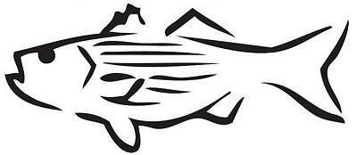 Fishing Decals Car Stickers 4