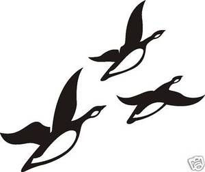 Duck in flight diecut wall or window decal 4