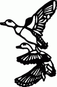 Duck Decal 2