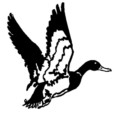 Duck decal 322