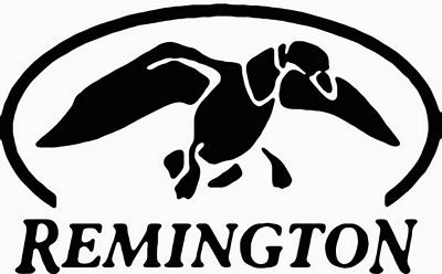 R Vinyl Diecut Duck Decal