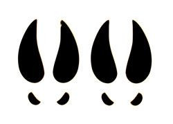 Deer Tracks Decal 1610