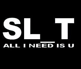 Funny Car Window Sticker SLUT