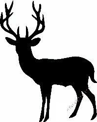 Deer Hunting Decal Sticker 20