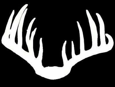 Diecut Deer Rack Decal 1613