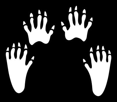 Hunting Diecut Racoon Tracks Decal 01