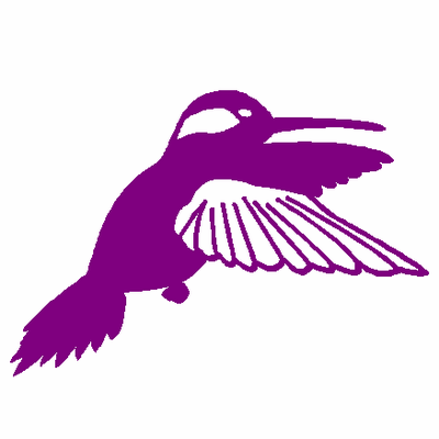 Hummingbird decal 542