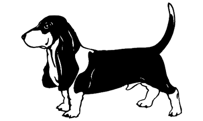 Basset Hound 076