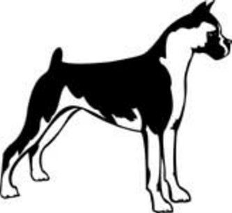 Boxer Dog Decal 15e