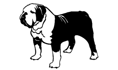 Bulldog 038