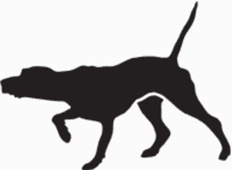 Pointer Dog Decal 15q
