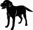 Retriever Dog Decal 15t