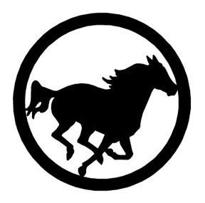 horse running circle