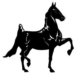 Vinyl Horse Stickers Wall Decals 05