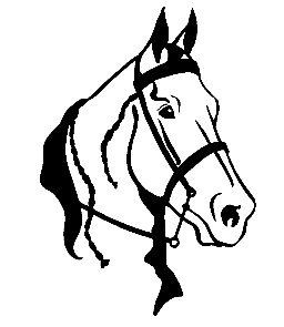 Vinyl Horse Stickers Wall Decals 10