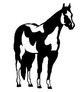 Vinyl Horse Stickers Wall Decals 12