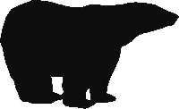 bears 001 bear