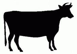 Cow Animal Decals 01