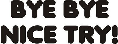 byebye funny auto decal