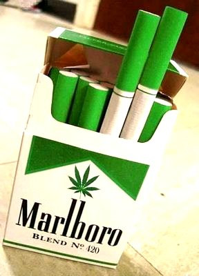 420 MARLBORO BOX SHAPED STICKER