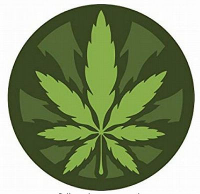 ROUND POT LEAF COLOR STICKER