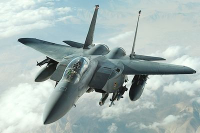 Stealth Bomber Color Photo NEW