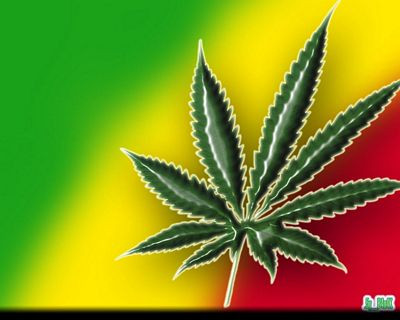 Rasta Reggae Sticker Weed 420 Decal 19