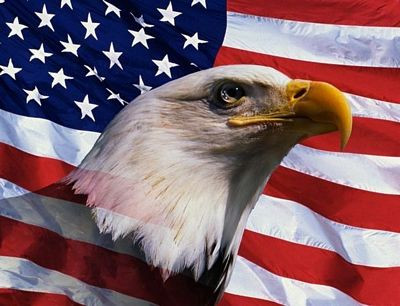 American Flag and bald eagle STICKER 3