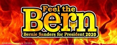 FEEL THE BURN BERNIE SANDERS 2020 STICKER