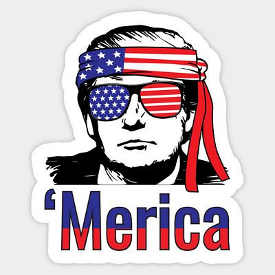 2020 TRUMP MERICA STICKER