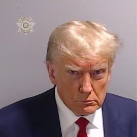 2023 Trump Georgia Mug Shot