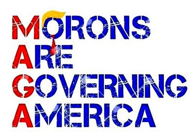MAGA MORONS ARE GOVERNING AMERICA STICKER