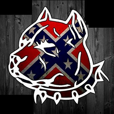 rebel pit sticker
