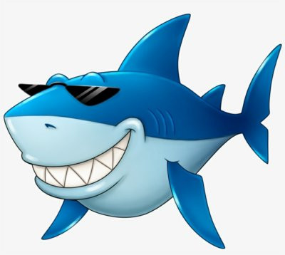 shark sticker 7