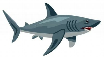 shark sticker 11