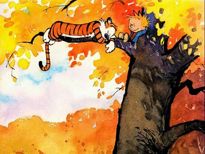 Calvin and Hobbes Rectangular Color Stickers 10