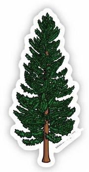 Pine Tree plant flower sticker