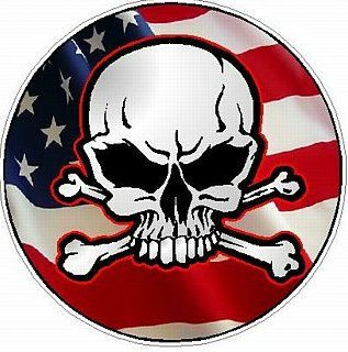 SKULL CIRCULAR FILLS Flag USA
