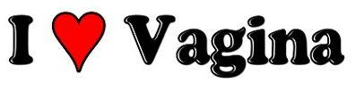I Love Vagina Vinyl Bumper Sticker