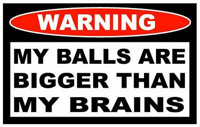 Balls Brains Funny Warning Sticker Set