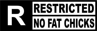 Rated No Fat Chicks Funny Warning Sticker Set