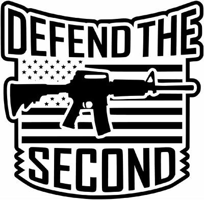 defend the second amendment decal shoot rifle