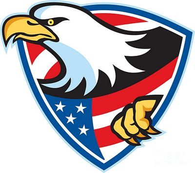 American Bald Eagle Flag Shield Sticker