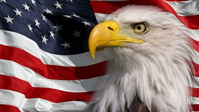 American Flag and bald eagle STICKER